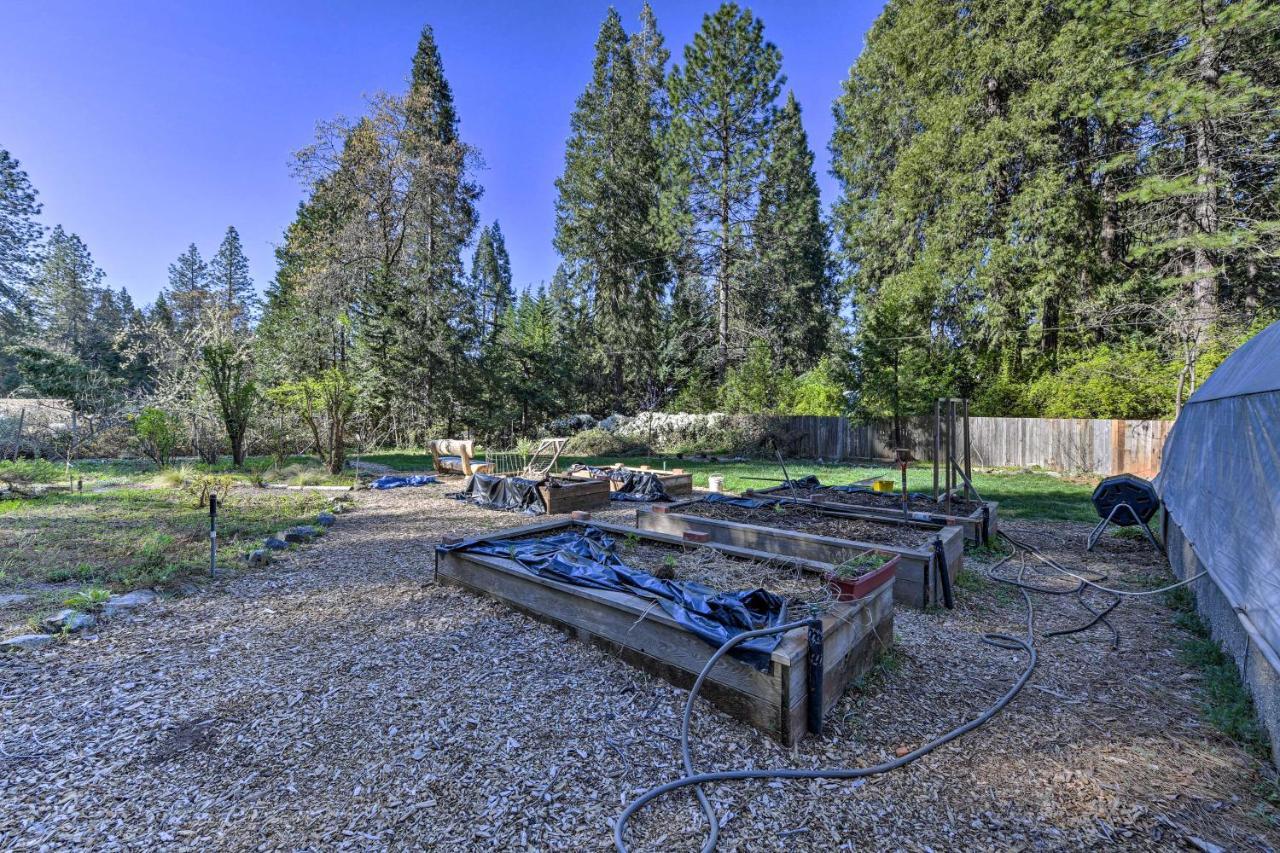 Peaceful Grass Valley Cottage With Bbq Grill And Yard! Exterior foto